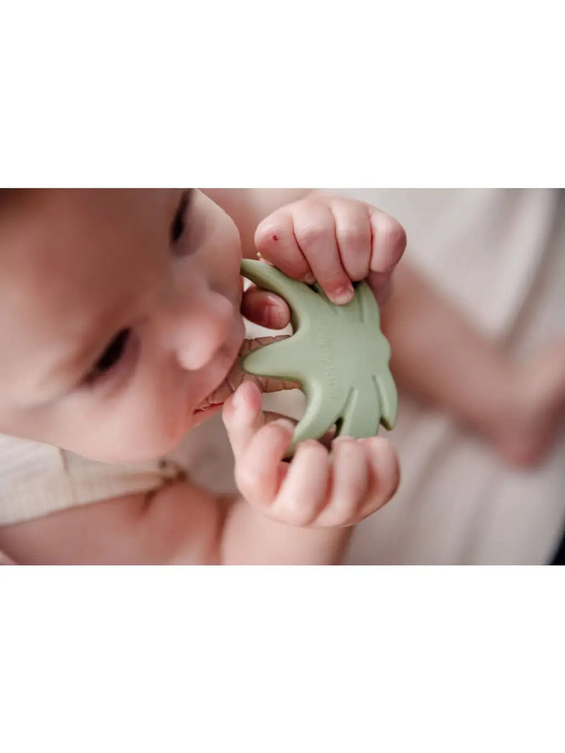 Silicone Teether | Sage Palm Tree